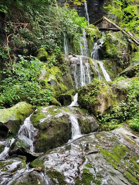 The Place of a Thousand Drips