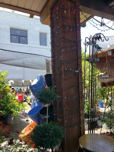 Calistoga Ace Hdwe/Silverado Ace Hdwe