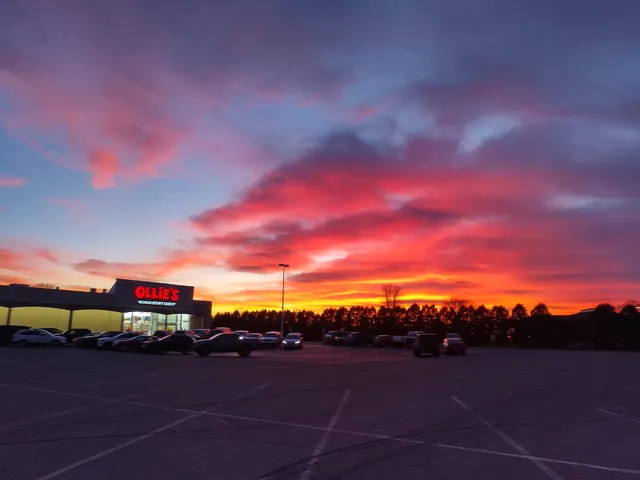 Ollie's Bargain Outlet