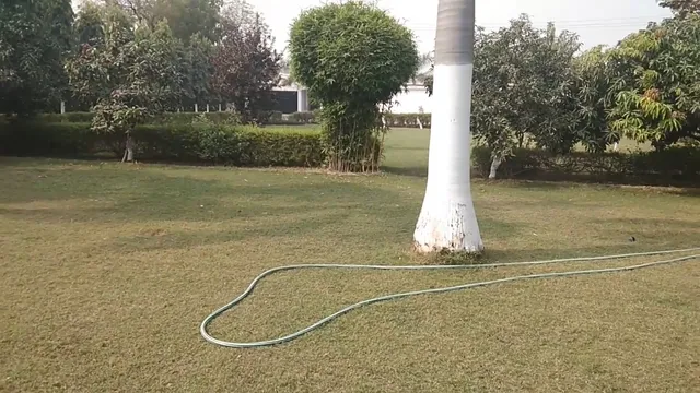 Lucknow Non-Veg & Coffee House