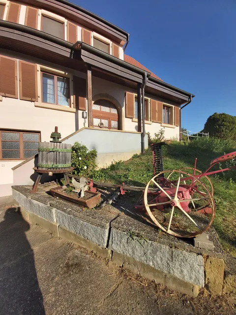 Männlins Straußwirtschaft/ Ferienwohnungen Haus Männlin