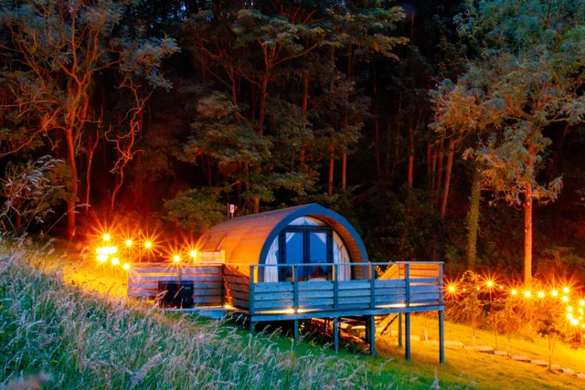 Prospect House Farm Glamping & Camping