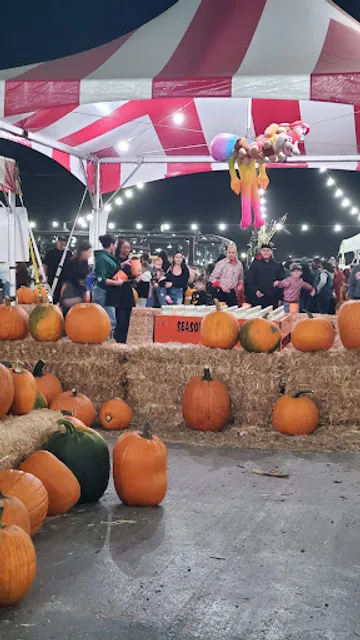 Seasonal Adventures Pumpkin Patch