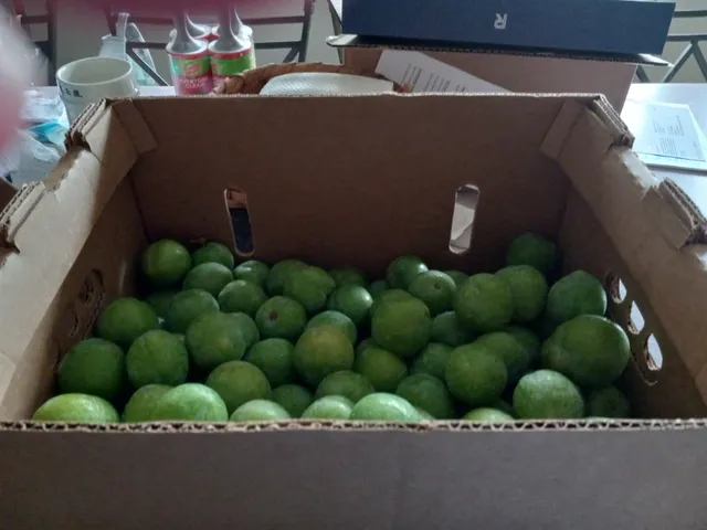 Vince's Farm Fresh Produce