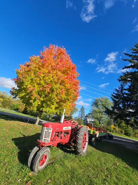 Reynolds Farm Stand