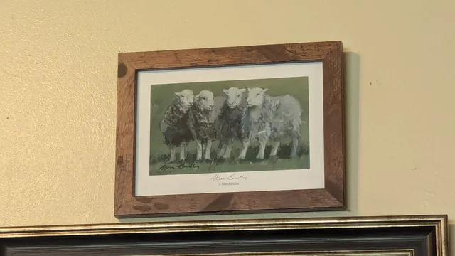 Alison Bradley Gallery