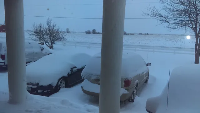 Minatare Feedlot Inc