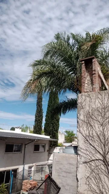 Departamento céntrico lobos