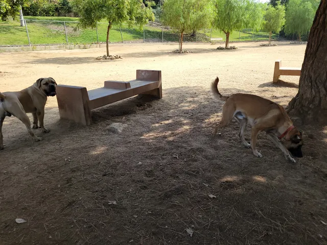 Hermon Dog Park