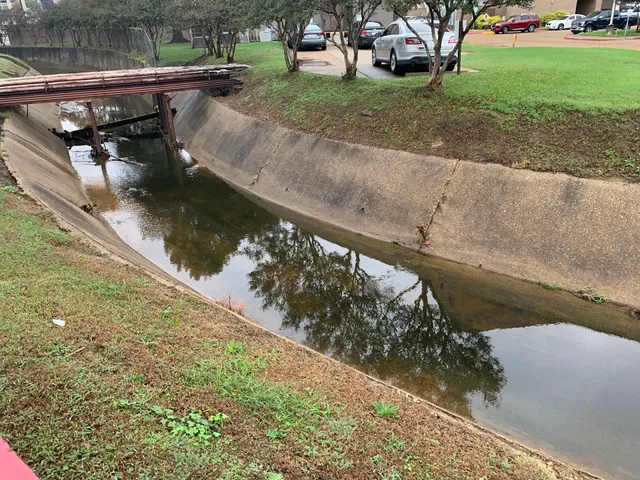 LSU Health Shreveport