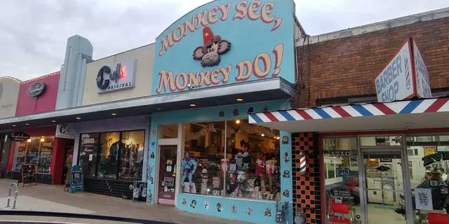 Monkey See Monkey DO
