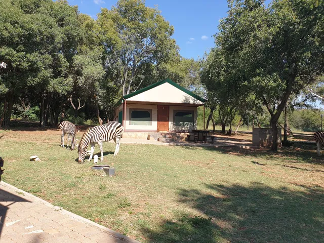 Eagle Waters Wildlife Resort