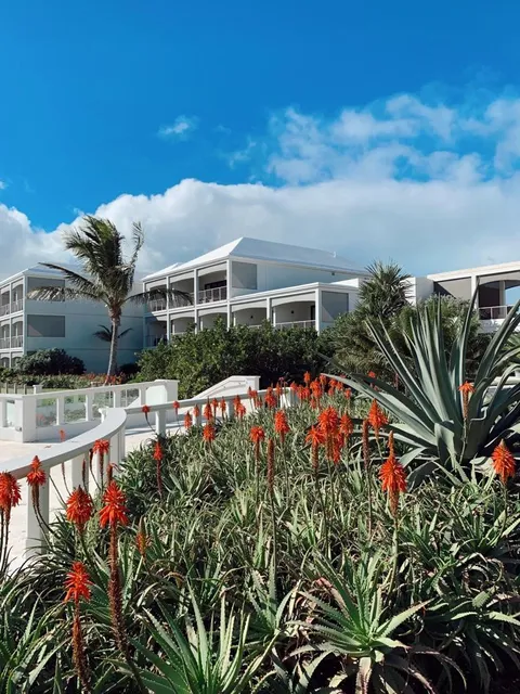 The Loren at Pink Beach