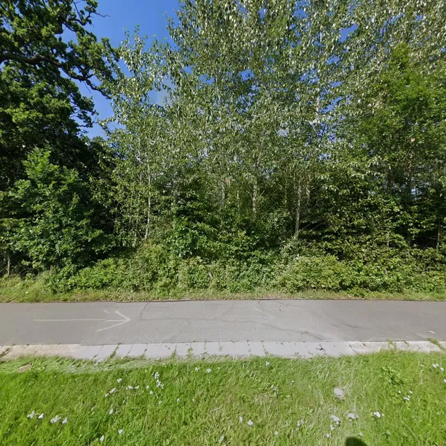 schloss ludwigsburg schleswig