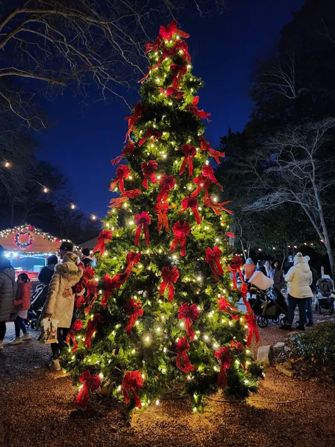 Christkindlmarket Roswell