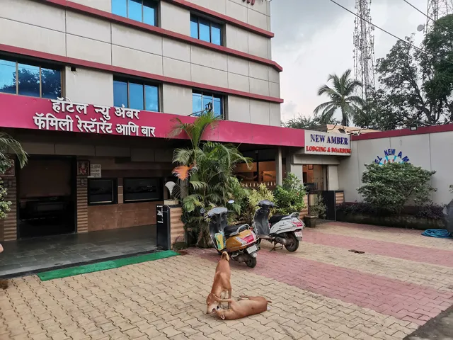 New Amber Lodging & Boarding