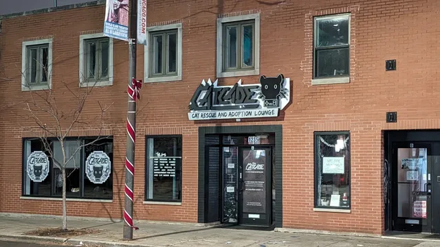 The Catcade - Cat Cafe & Rescue