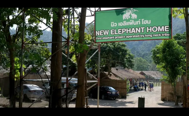 New Elephant Home