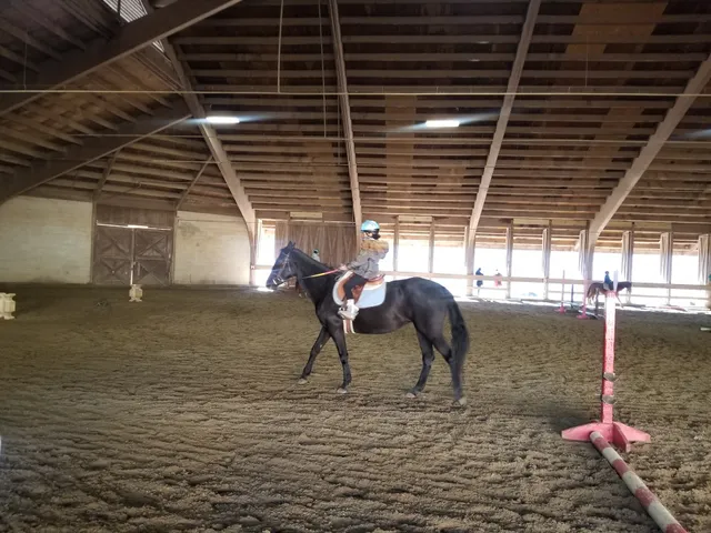 Northwestern Stables