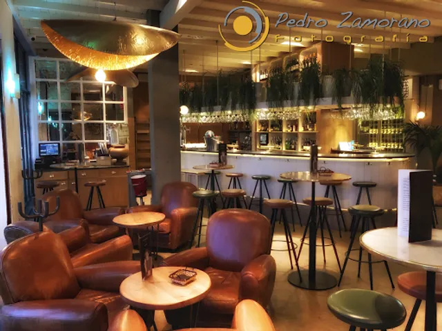 En copa de Balón Enolounge