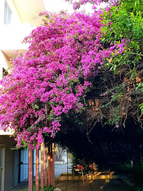 Garden House Pompei Vesuvio