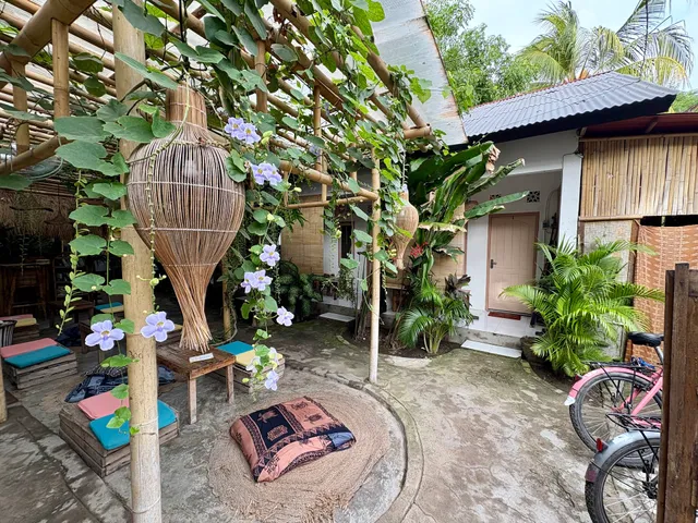 Mango tree house