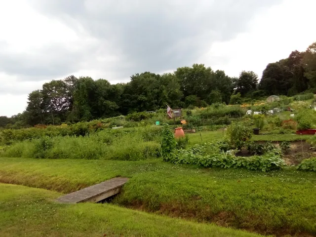 Concord District Court