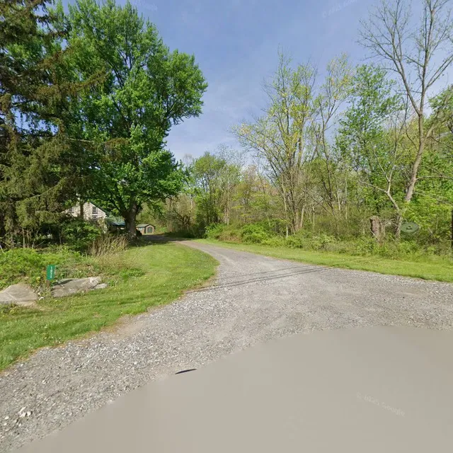 The Creative Saddler