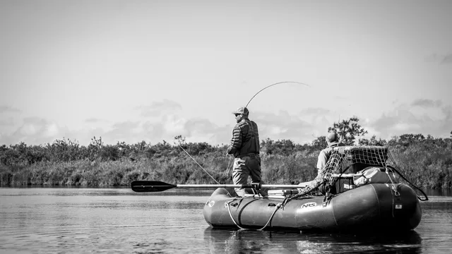 Papa Bear Adventures