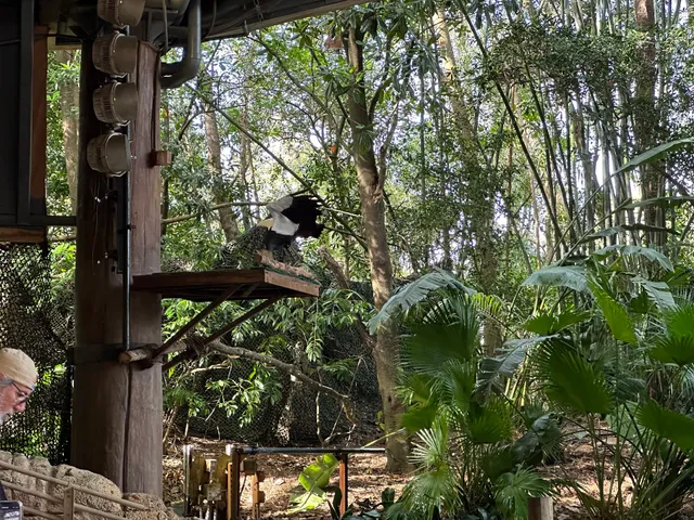 Feathered Friends in Flight!