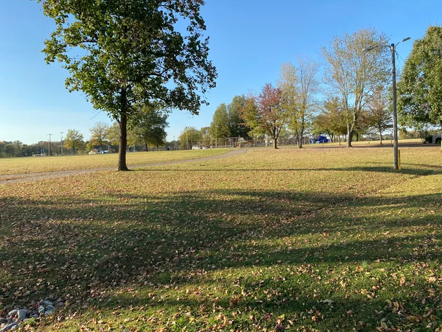 Dyer City Park, David Robinson Park