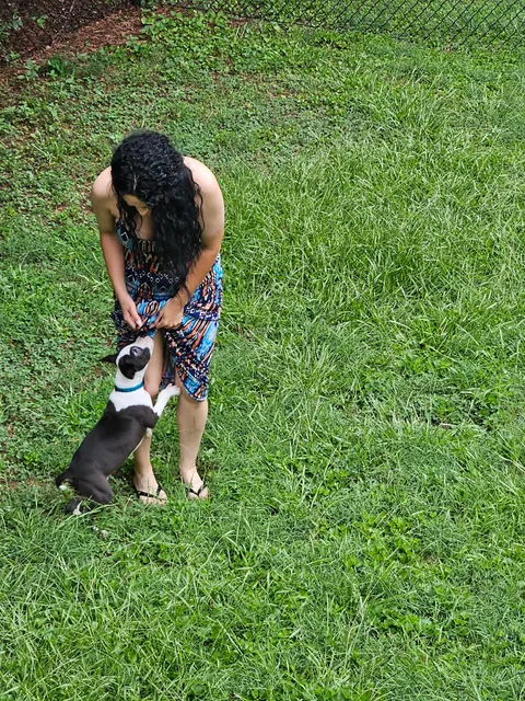 Gaston County Animal Care and Enforcement