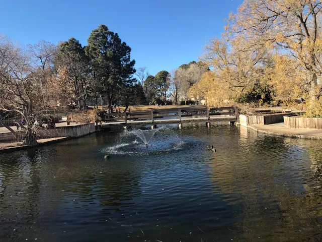 Duck Pond