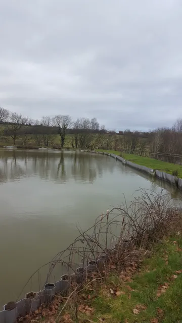 Oaktree Fishery