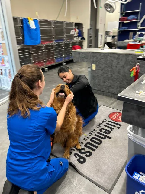 Firehouse Animal Health Center Belterra