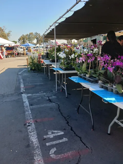 Flea Market Parking Lot