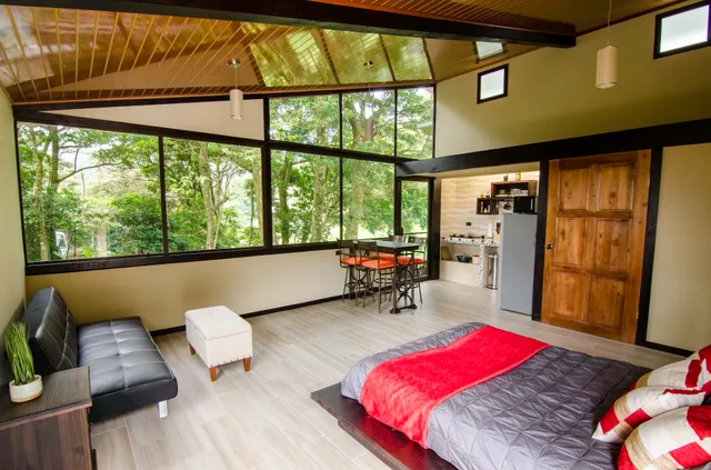 Bird Paradise - Hospedaje en Monteverde