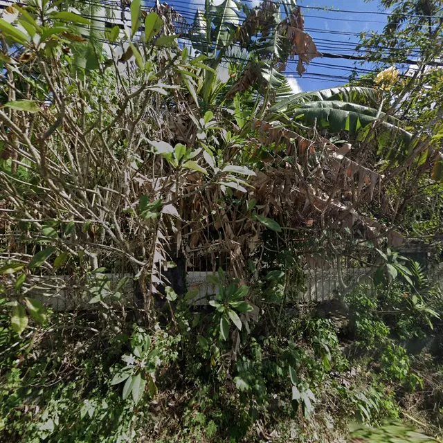 Coconut Pool Club & Bar & Restaurant