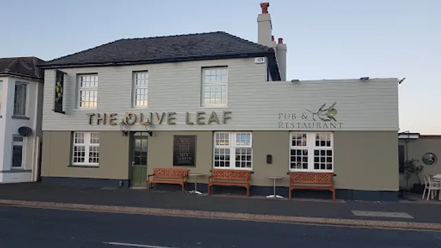 The Olive Leaf