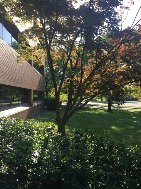 Divine Mercy University