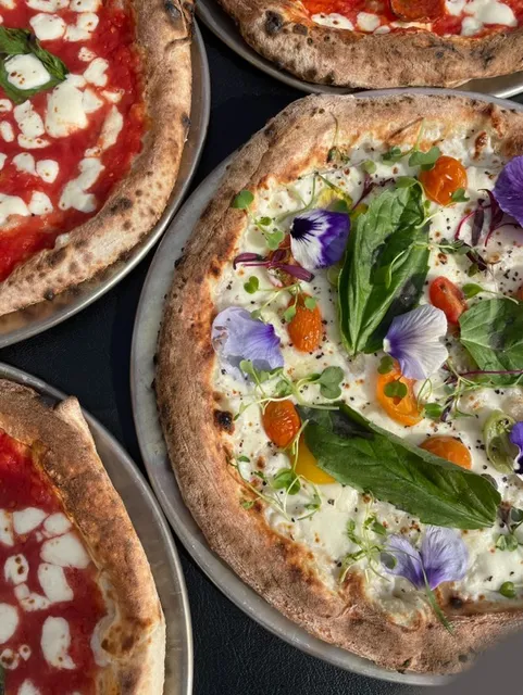 Vincent Van Dough AZ