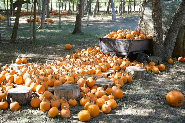 Indian Springs Ranch