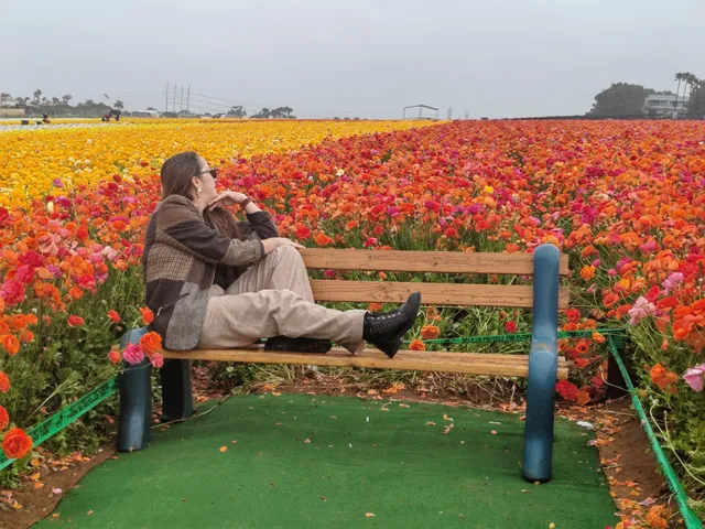 Paseo Carlsbad Retail Center