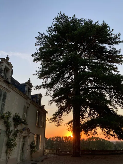 Chateau de la Boussinière