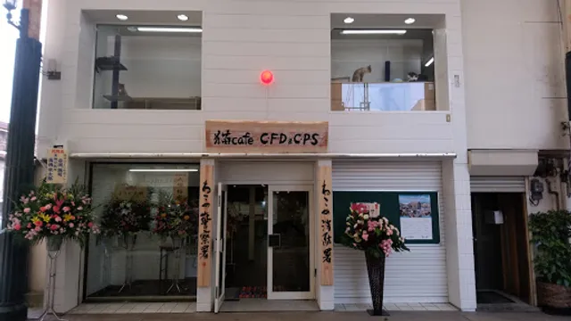 猫Cafe C･F･D