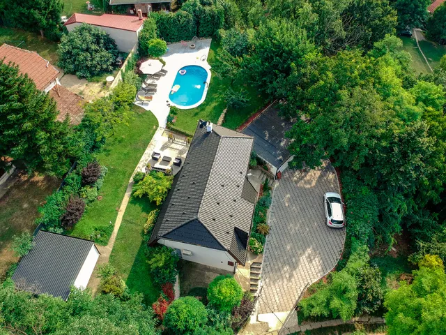 Riverside Pool Villa - Novi Sad