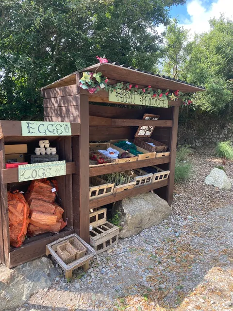 Trevolankan Campsite