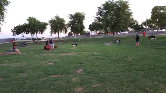 Large Dog Park