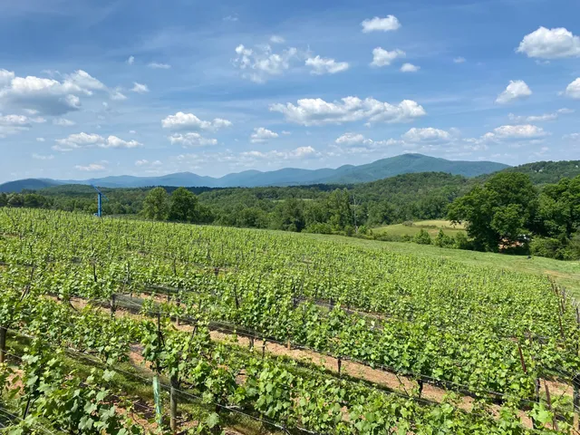 North Georgia Wine Tours