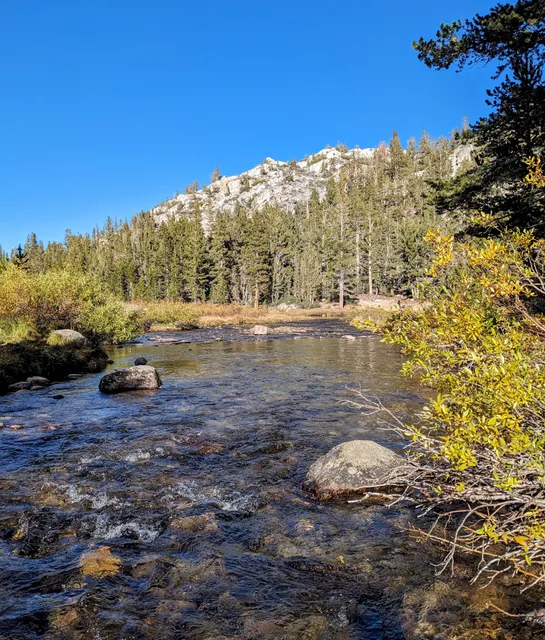 Mosquito Flats Eden Landing